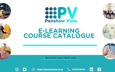 Penshaw View: e-Learning Portfolio